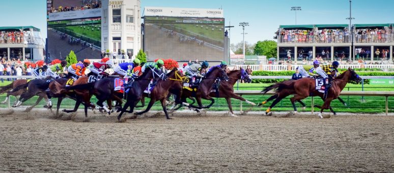 Betting on horse races for dummies