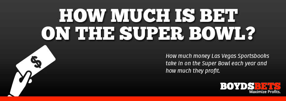 How Much Money Is Bet On The Super Bowl